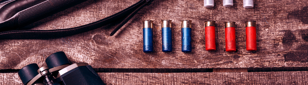 Δηλωμένα όπλα