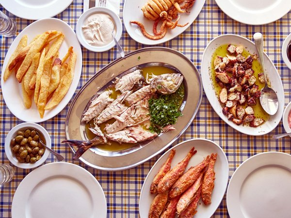 FISH AT LATCHI | Paphos