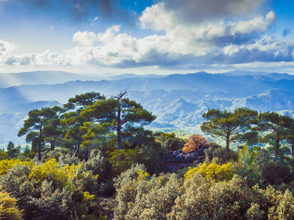 Troodos Mountains